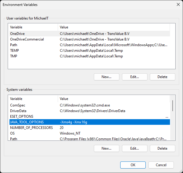 DATPROF Runtime JAVA TOOL OPTIONS.png