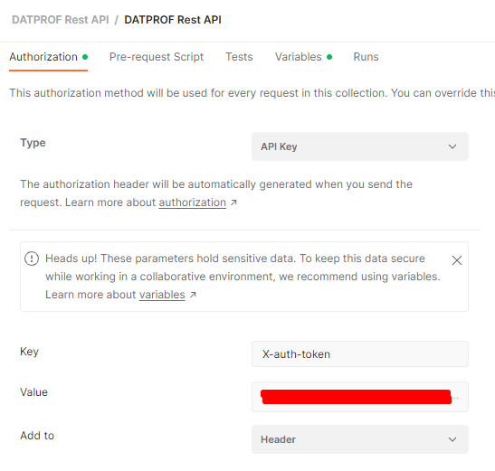 DATPROF Runtime API Authorization.png