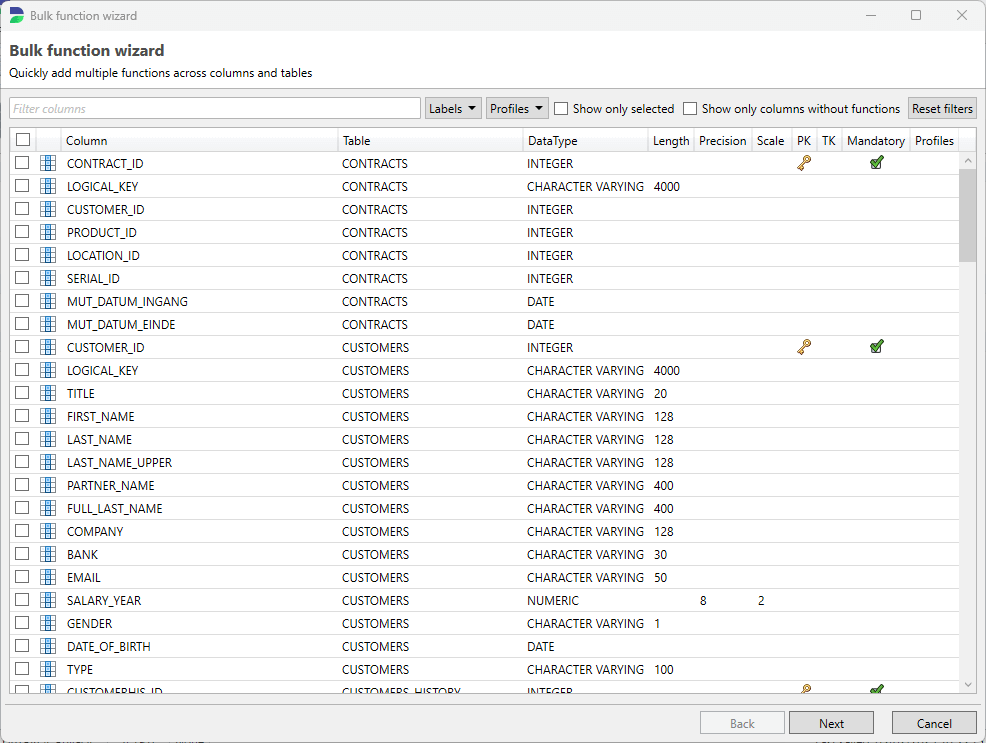 DATPROF Privacy Bulk Function Wizard.png