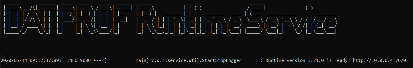 Runtime starting.png